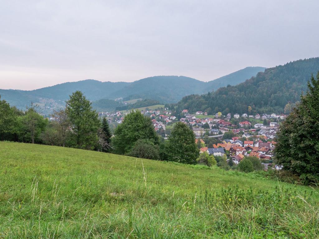 Quaint Apartment In Buhlertal With Private Garden ภายนอก รูปภาพ