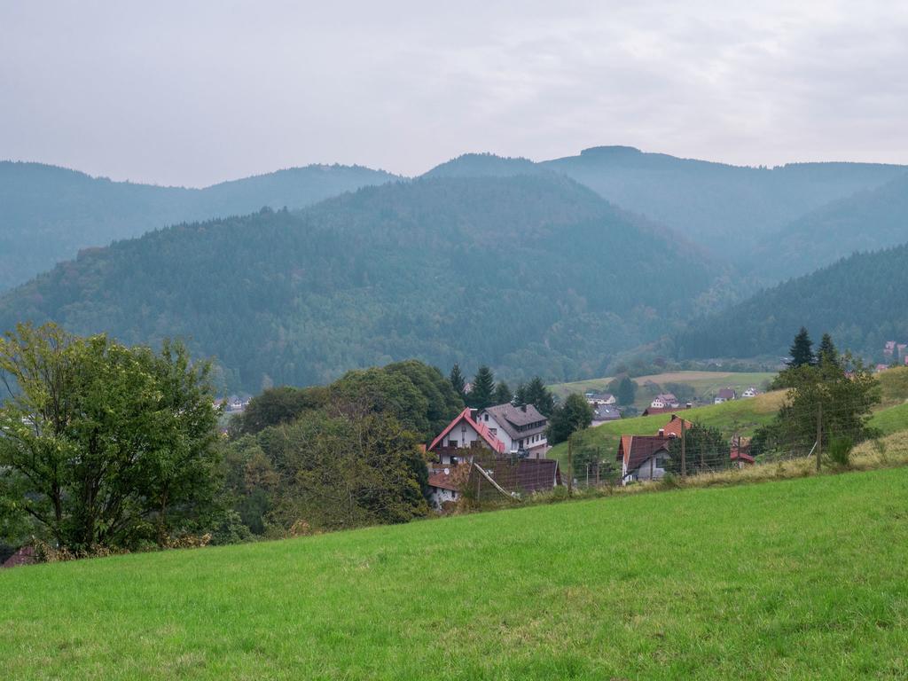 Quaint Apartment In Buhlertal With Private Garden ภายนอก รูปภาพ